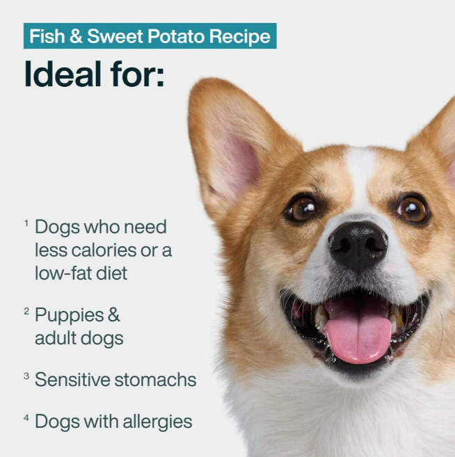 fish & sweet potato