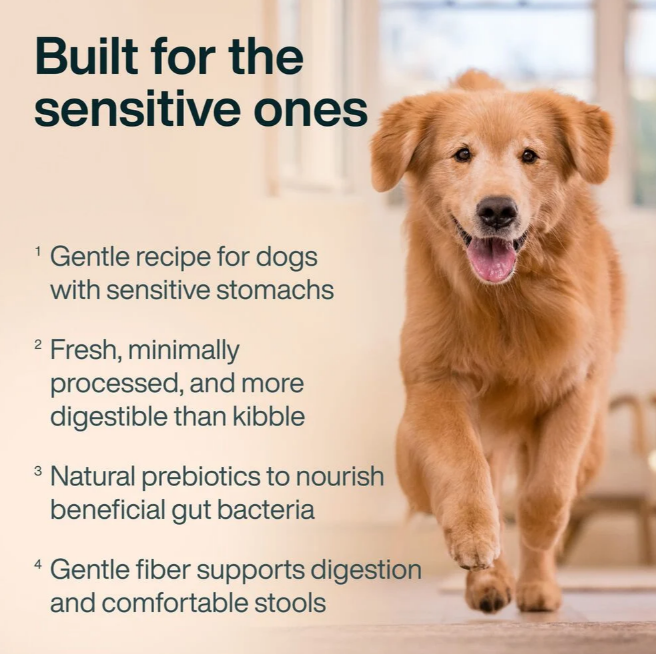 sensitive stomach